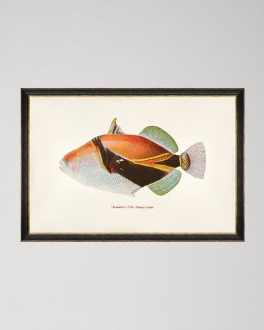 FISHES OF HAWAII - HUMUHUMU FISH Framed Art