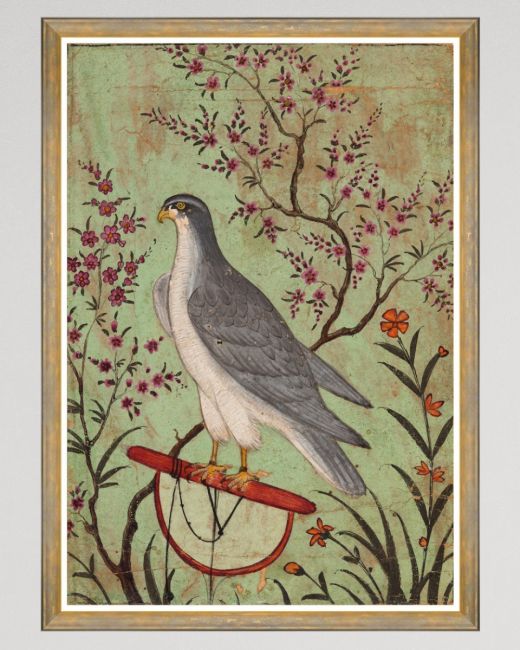 FALCON ON A PERCH Framed Art