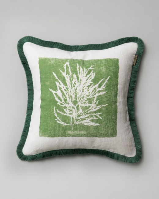 ALGAE I Cushion