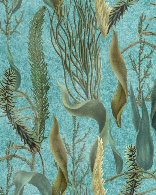 AQUATIC PLANTS Aquamarine Wallpaper Sample