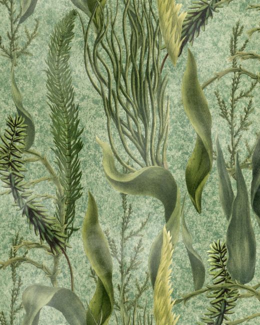AQUATIC PLANTS Wallpaper Sample