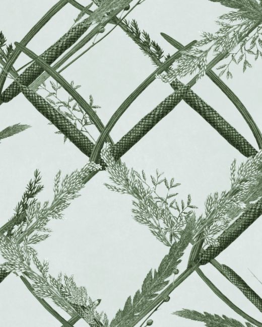 ORNAMENTAL REED Greenlake Wallpaper Sample