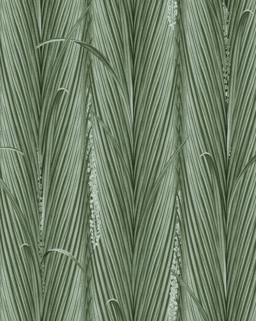 DANUBE FOLIAGE Absinthe Wallpaper Sample