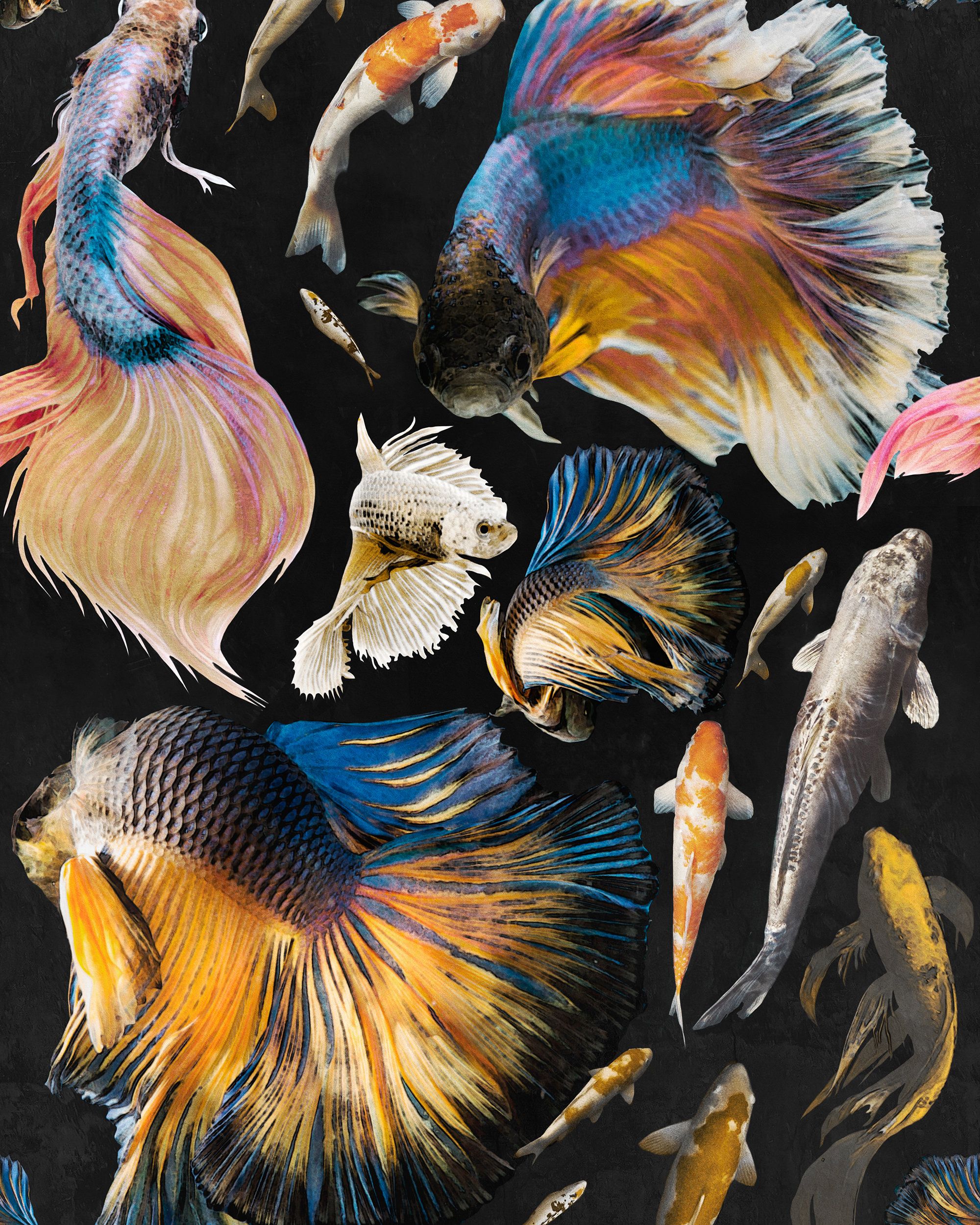 goldfish wallpaper uk