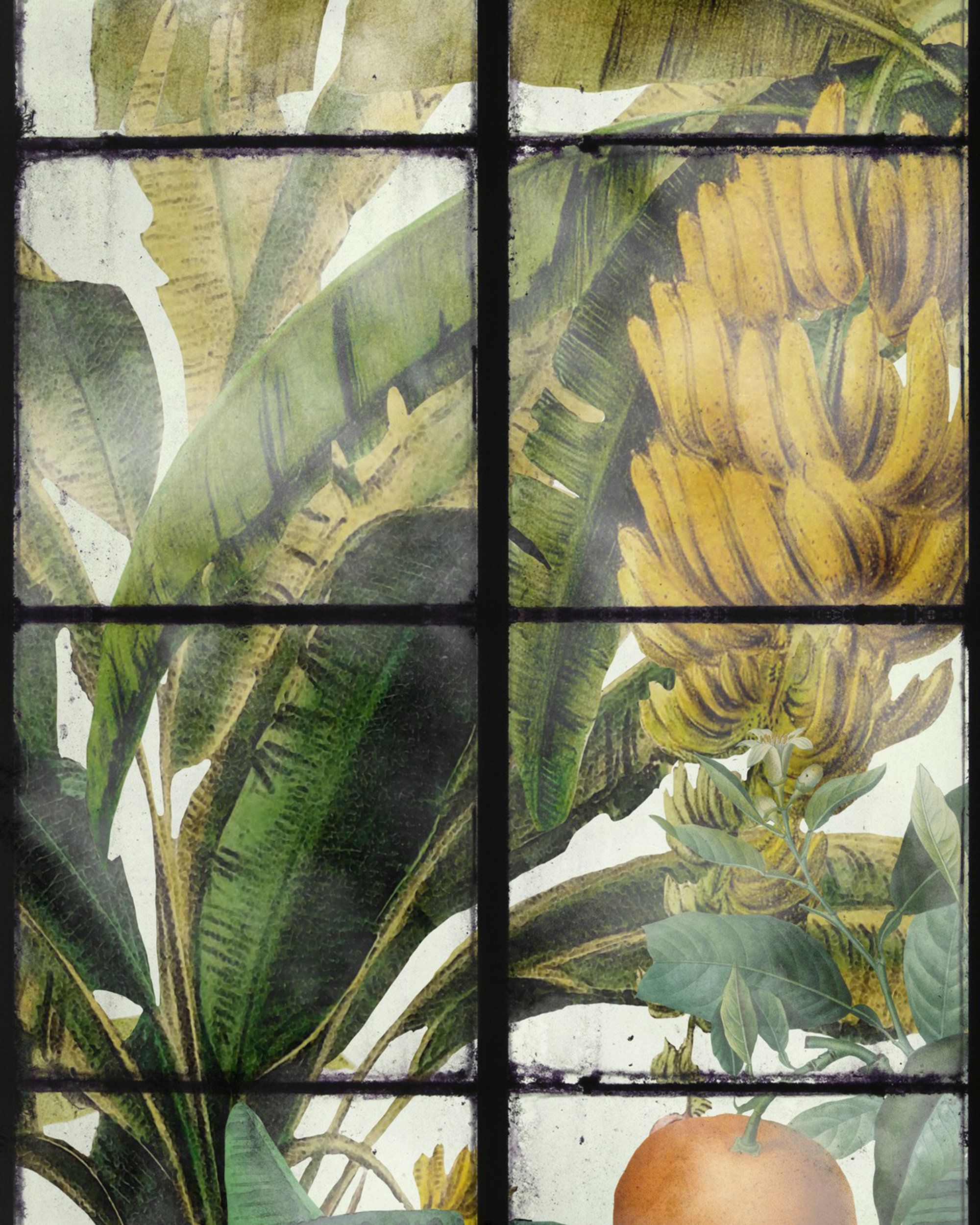 wallpaper for orangery